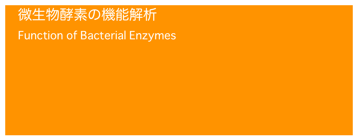 微生物酵素の機能解析
Function of Bacterial Enzymes

