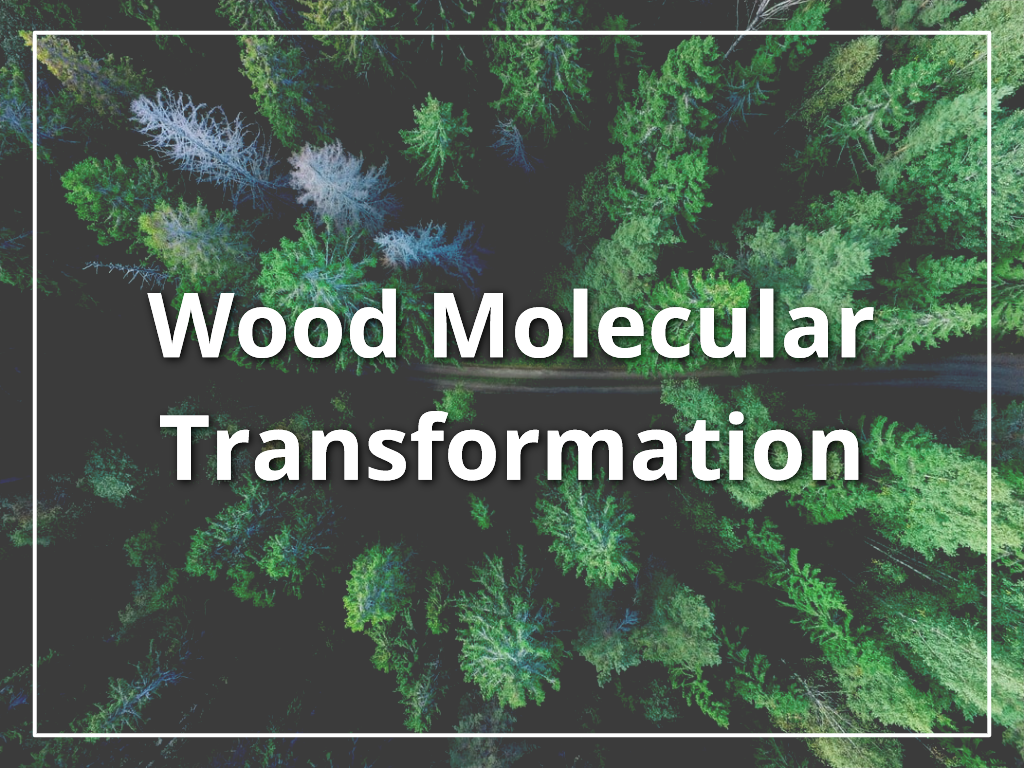 wood