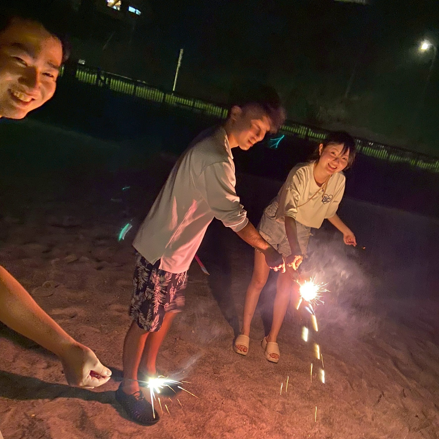 夏季セミ