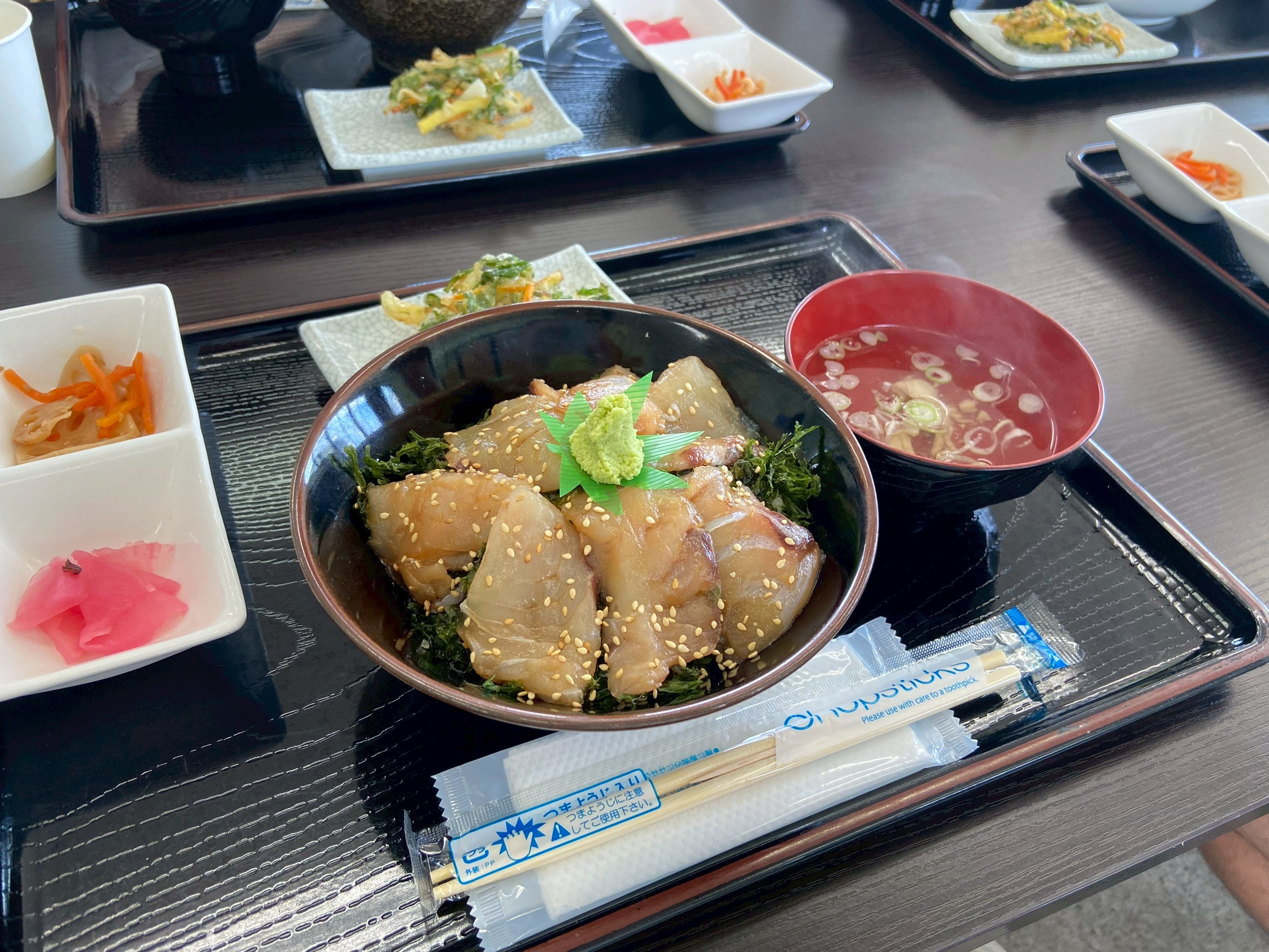 夏季セミ