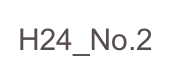 H24_No.2