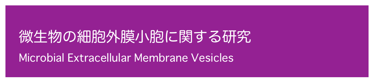 
微生物の細胞外膜小胞に関する研究
Microbial Extracellular Membrane Vesicles