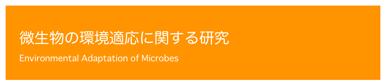 
微生物の環境適応に関する研究
Environmental Adaptation of Microbes

