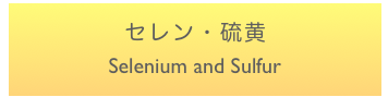セレン・硫黄
Selenium and Sulfur
