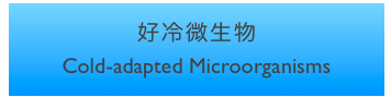 好冷微生物
Cold-adapted Microorganisms