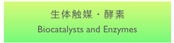 生体触媒・酵素
Biocatalysts and Enzymes