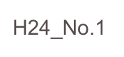 H24_No.1