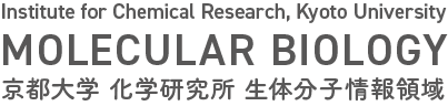 Institute for Chemical Research, Kyoto University MOLECULAR BIOLOGY 京都大学 化学研究所 生体分子情報領域