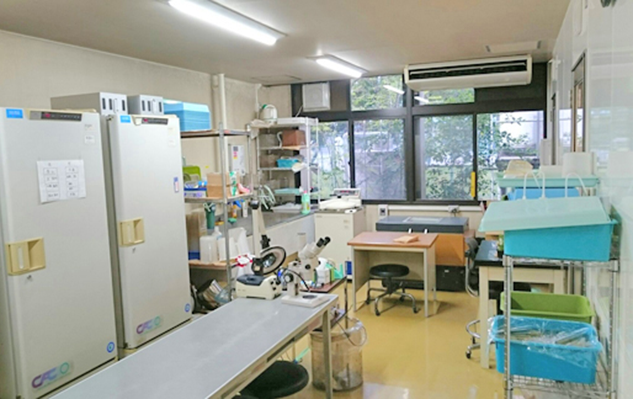 植物育成部屋：前室で植物観察や作業・人工気象機