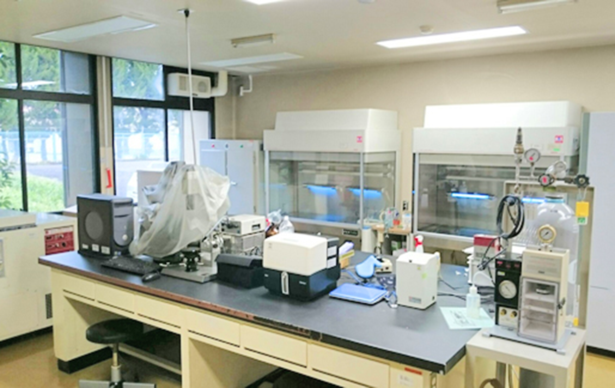 クリーンルーム：撮影装置・遺伝子銃・定量PCR・人工気象機