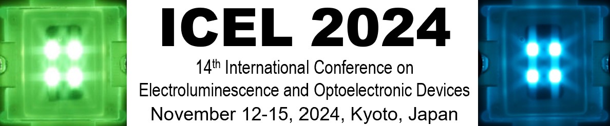 ICEL 2024