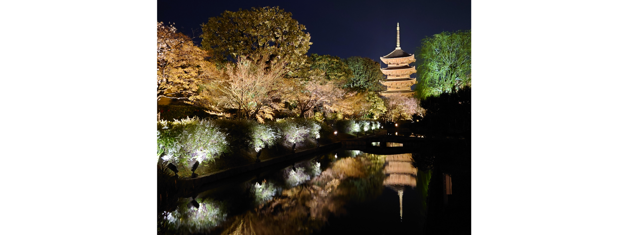 top_files_images_kyoto1.png