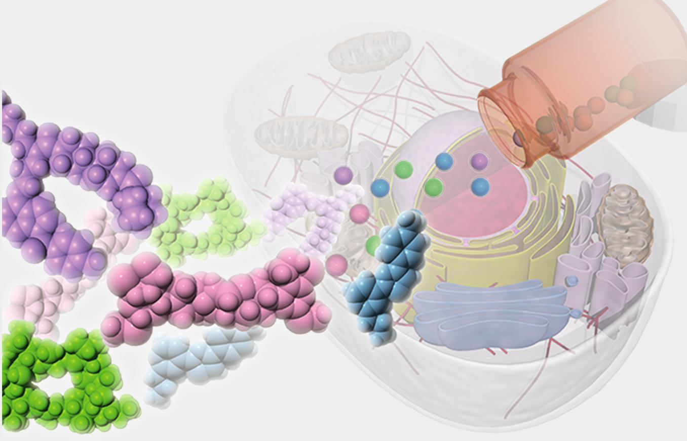 Chemical Biology Uesugi Group