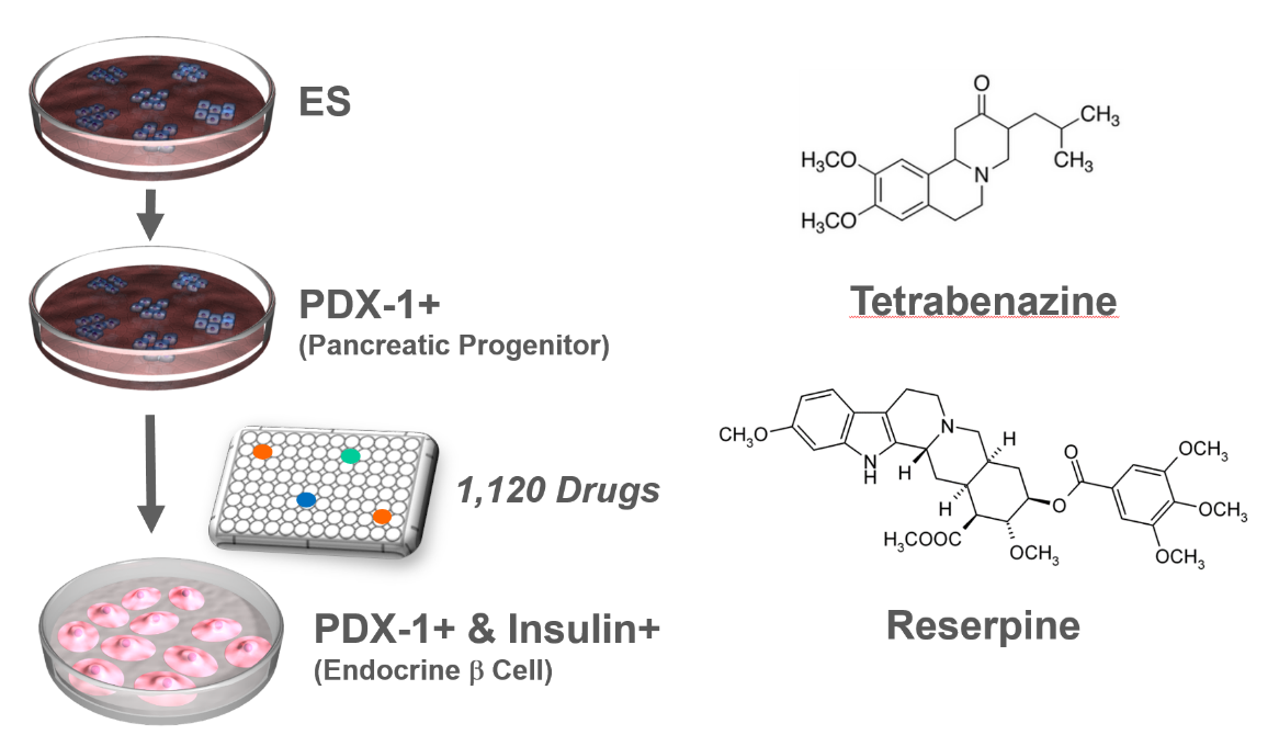 Chemical Biology Uesugi Group