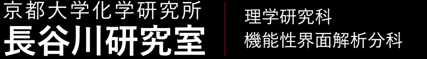 京都大学化学研究所・長谷川研究室（理学研究科・機能性界面解析分科）