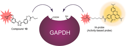 (2022)Discovery of Non-Cysteine-Targeting Covalent Inhibitors.gif