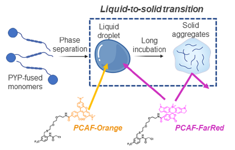 TOC_20250923c.png TOC_20250923c.png