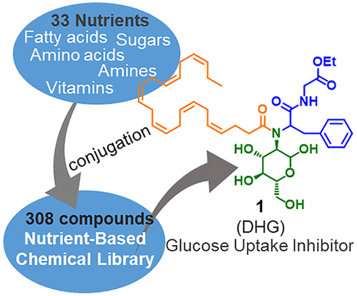 Nutrient-Based Chemical Library as a Source of Energy Metabolism Modulators.png